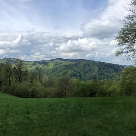 Affittacamere Rodinný U Hafana A U Hospůdky 3*